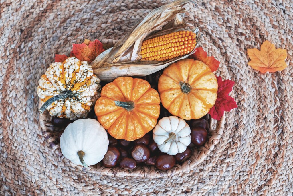Korb mit bunten K&uuml;rbissen, Maiskolben, Kastanien und Herbstlaub
