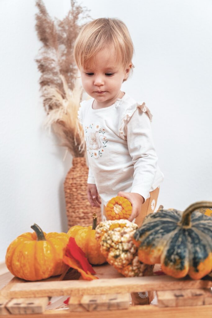 Kleines Kind betrachtet K&uuml;rbisse und Mais im Herbstset